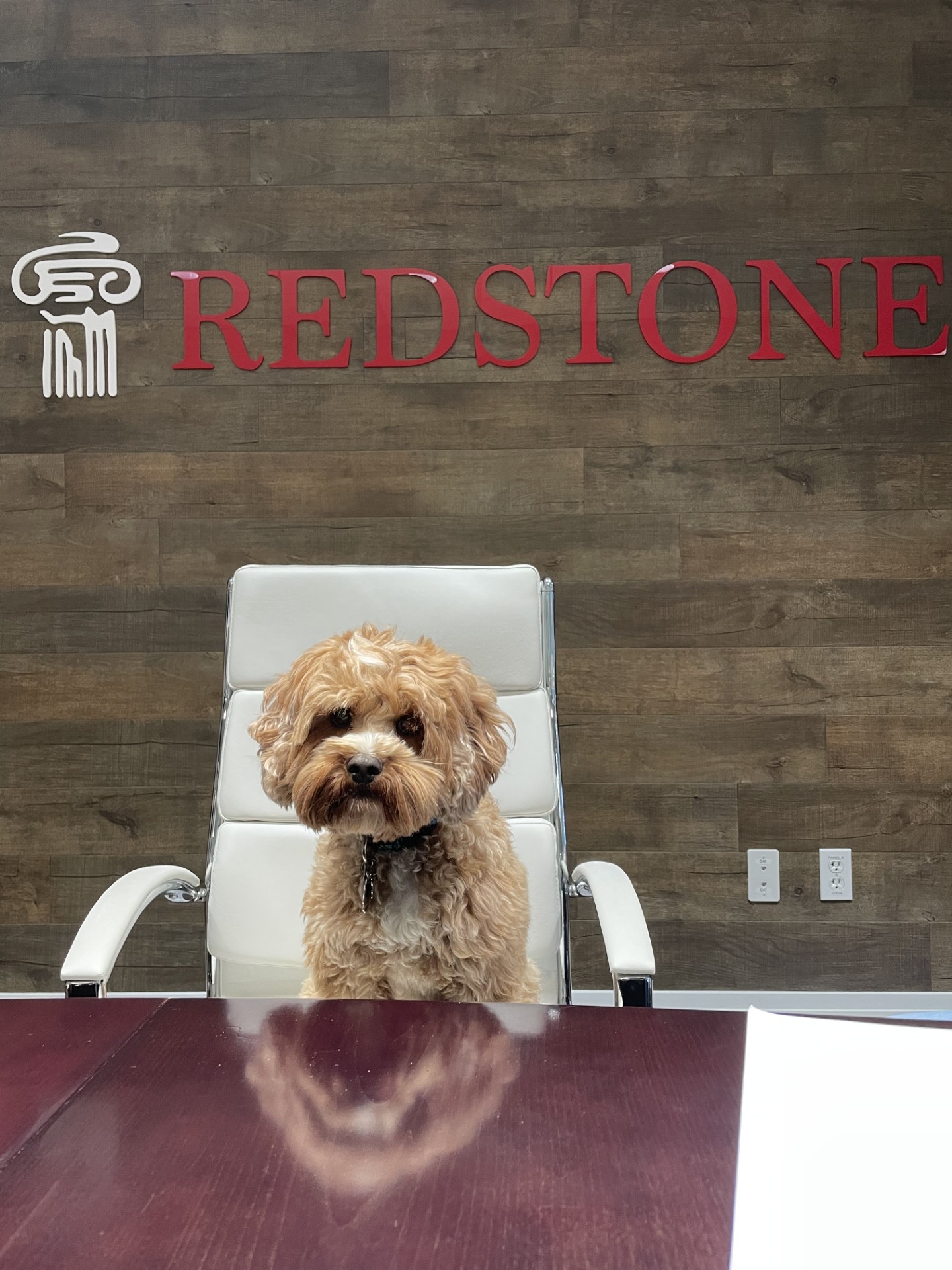 Website Sammie Means Biz